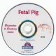 The Dissection & Anatomy of the Fetal Pig (DVD)