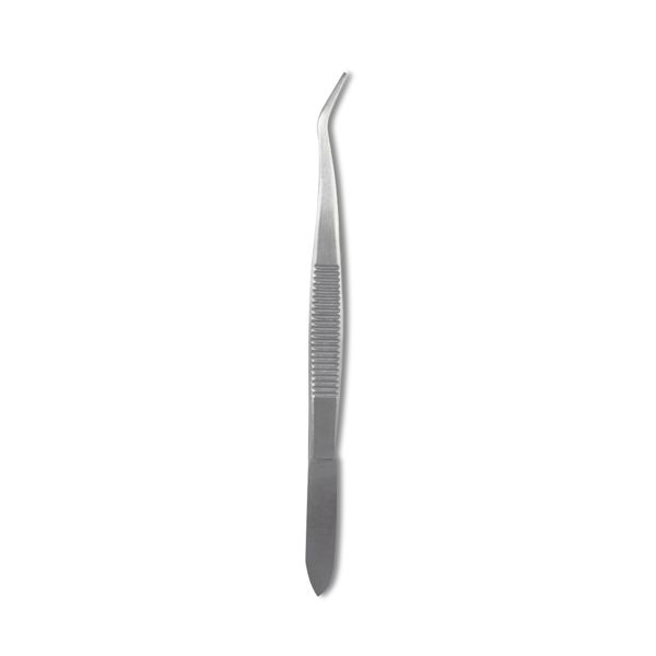 Insect Pinning Forceps 