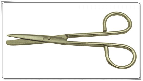 economy dissection scissors 4.5