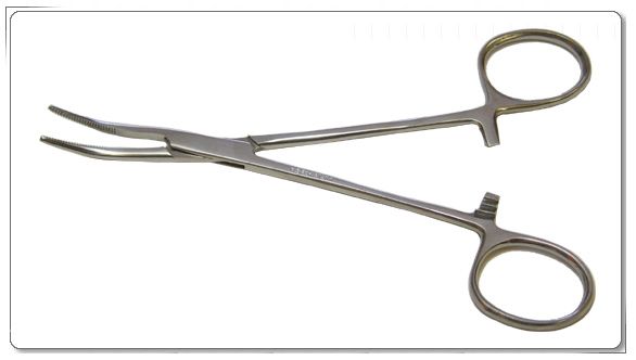 Curved Kelly Forceps 