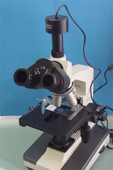 Professional Trinocular Microscope 