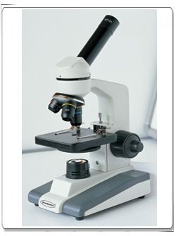 Microscope with mechanical stage