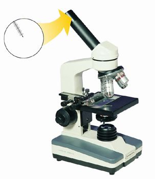 Advanced Student Microscope