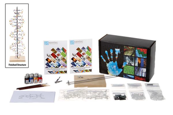 Kemtec™ DNA Model with Paint Classroom Kit