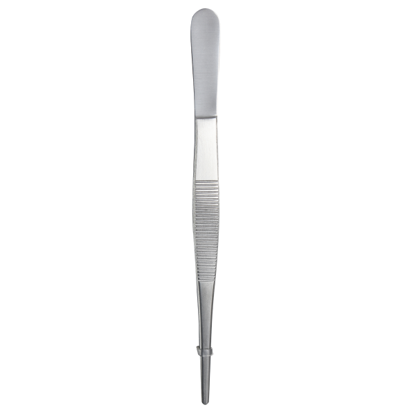 Specimen Dissecting Forceps - 6'' - Stainless Steel - #19