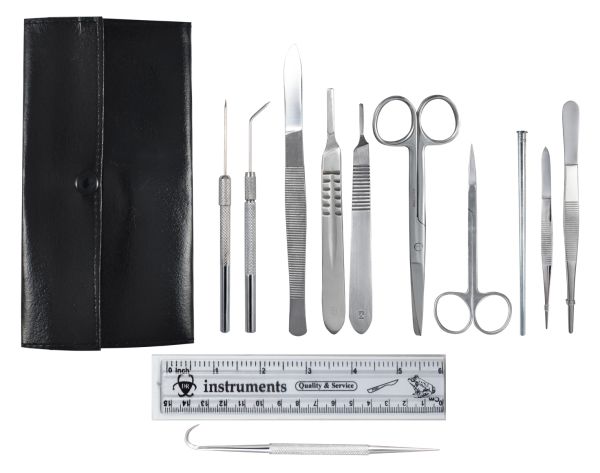 Comprehensive Dissection Kit w/ Goggle - Kit-5