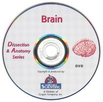 The Dissection & Anatomy of the Brain (DVD)