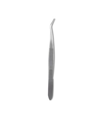 Insect Pinning Forceps 