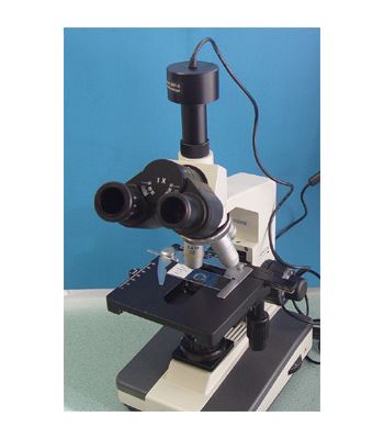 Professional Trinocular Microscope 