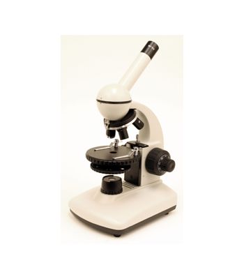 Elementary Compound Microscope 