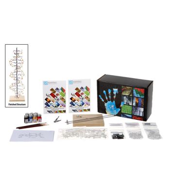 Kemtec™ DNA Model with Paint Classroom Kit