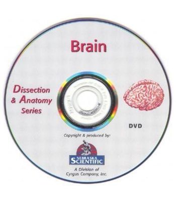 The Dissection & Anatomy of the Brain (DVD)
