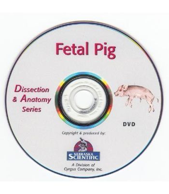 The Dissection & Anatomy of the Fetal Pig (DVD)